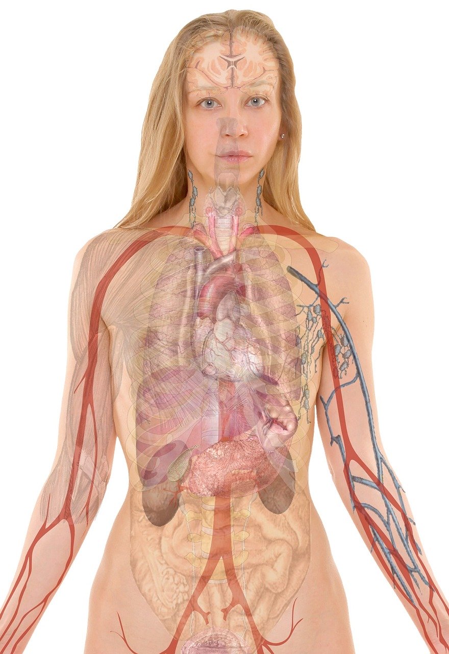 Image interactive